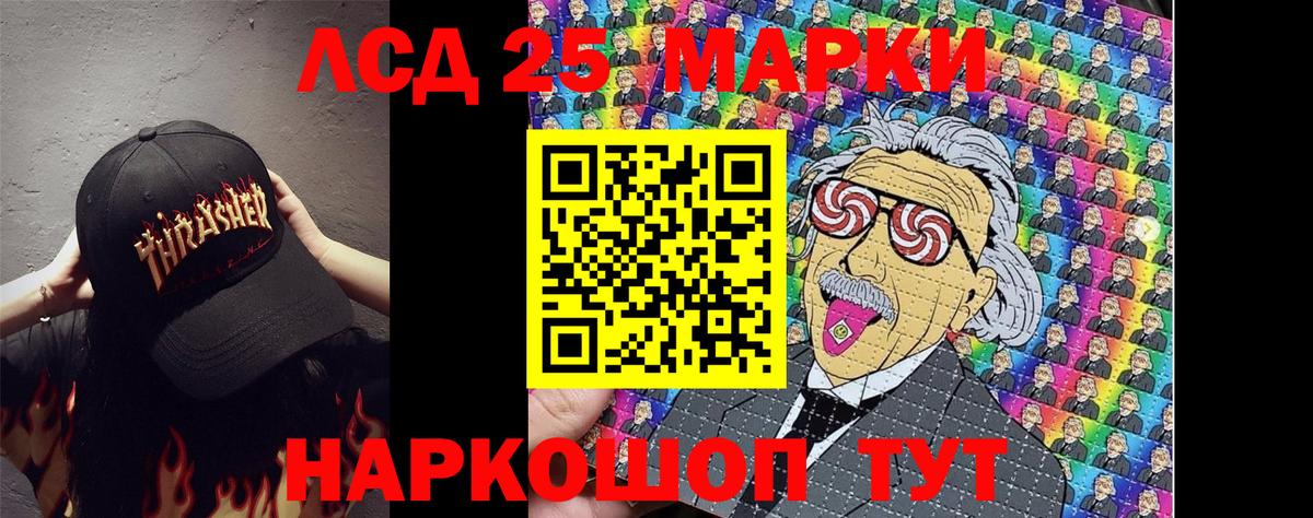 Новозыбков  Марки N-bome 1,8мг  как найти закладки  Марки N-bome  Вход с VPN  Марки N-bome 1,8мг 