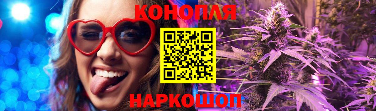 Канабис планчик Новозыбков